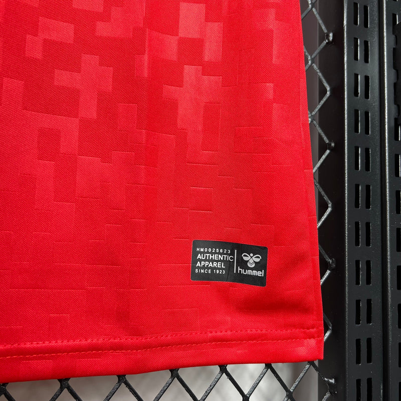 Camisa Dinamarca Home 24/25 - Torcedor Masculina